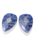 Sodalite Blossom Oorbel Edelstenen