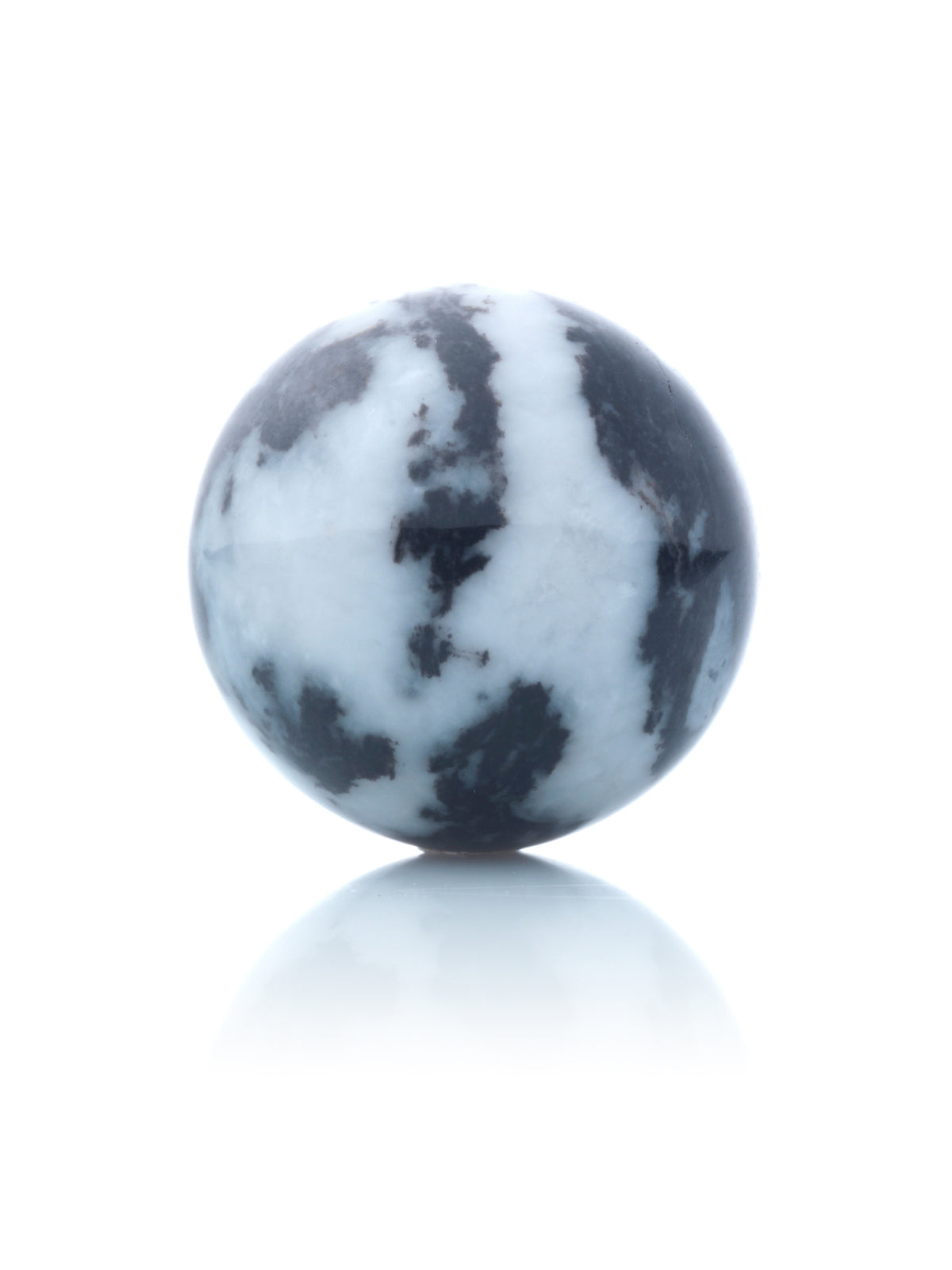 Zebra Jasper - Zebra Jasper