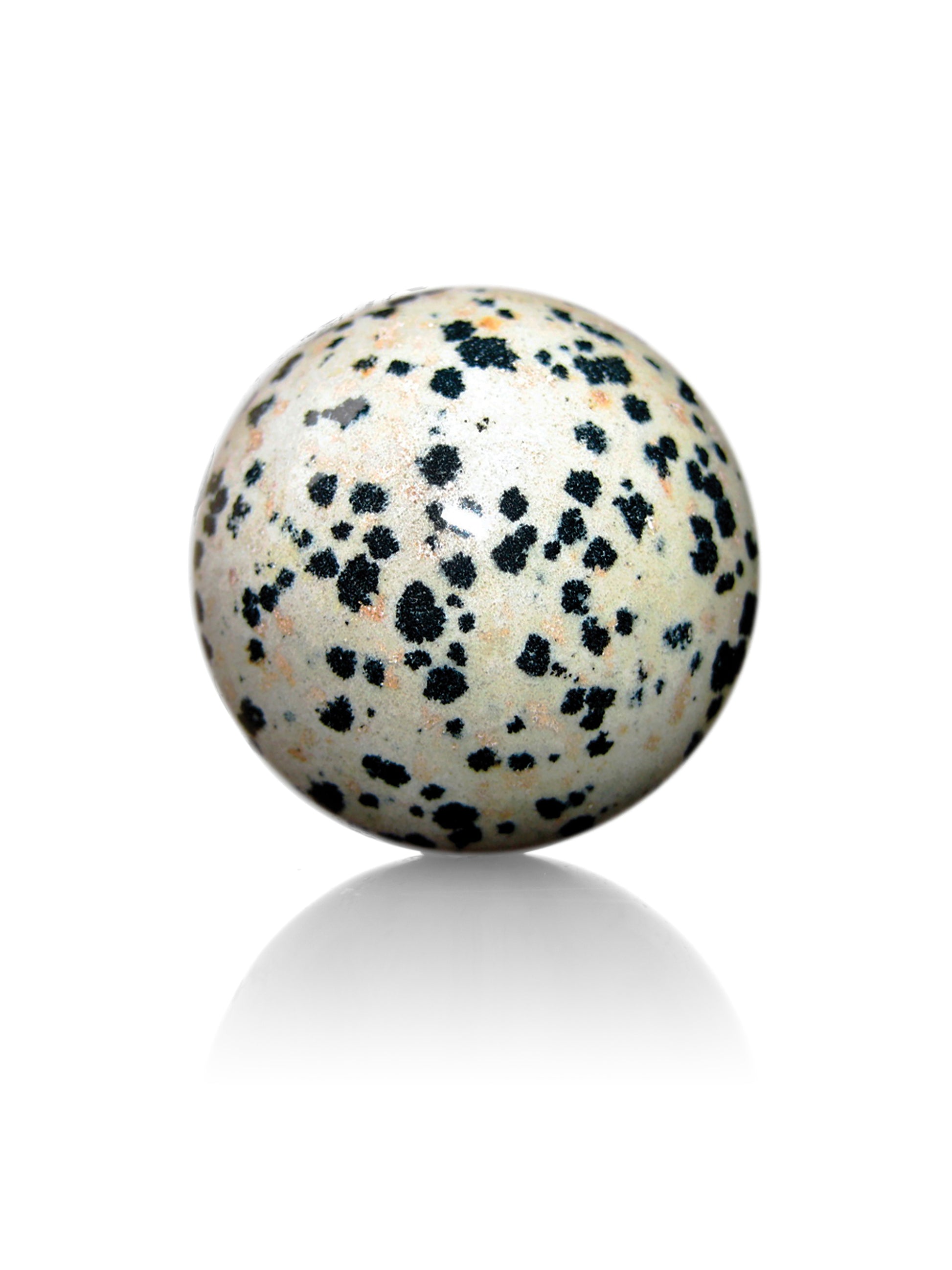 Dalmatier Jaspis - Dalmatier Jaspis