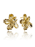 Botanic Push Back Oorbellen - Gold Plated