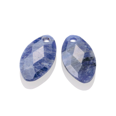 Sodalite Leaf Earring Gemstones