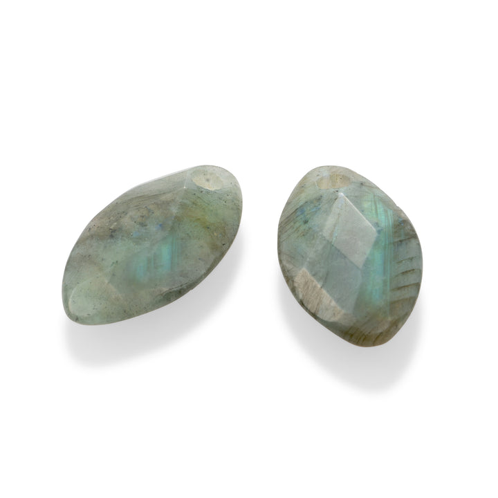 Labradorite Leaf Earring Gemstones