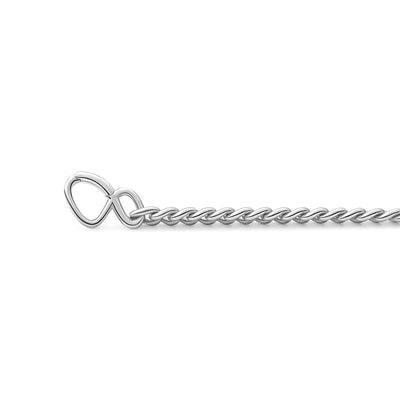 Product afbeelding van de zilveren armband curb chain met de originele Sparkling Jewels S-sluiting